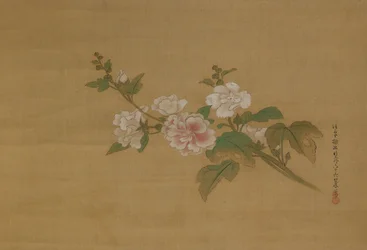 Ein Zweig blühender Hibiskus, Edo-Periode